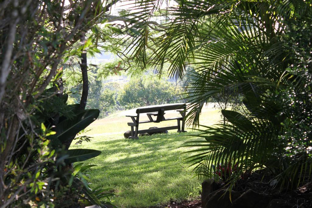 Tropical Coast Retreat - Pet Friendly - Adult Only Konuk evi Kingscliff Dış mekan fotoğraf