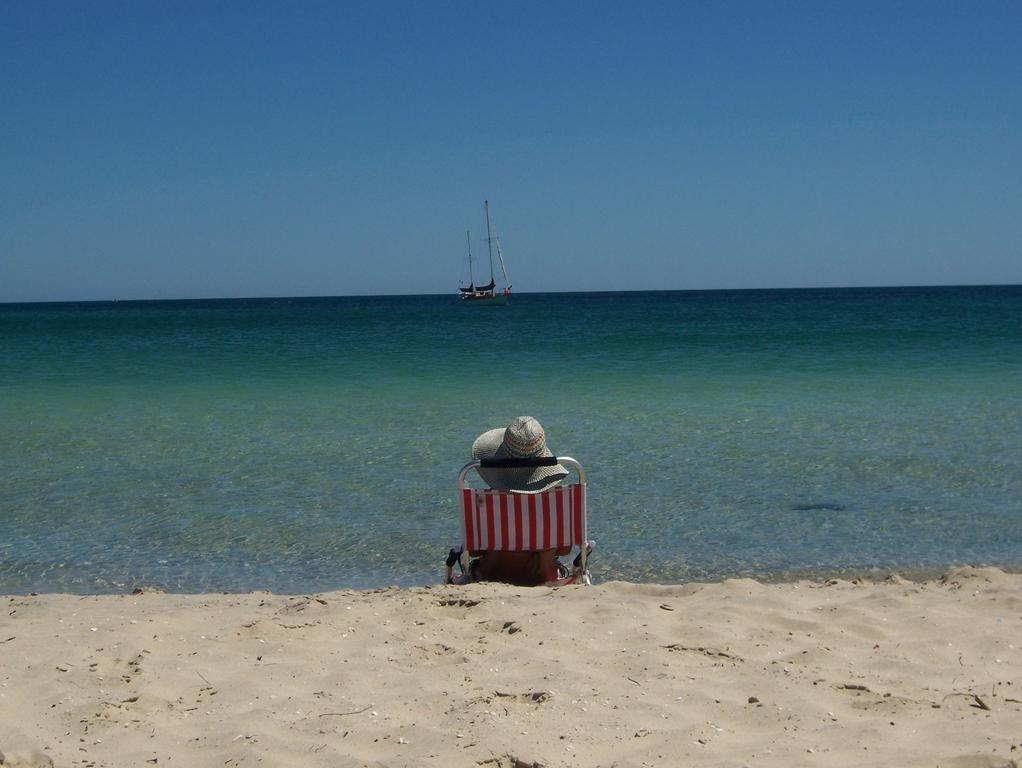 Tropical Coast Retreat - Pet Friendly - Adult Only Konuk evi Kingscliff Dış mekan fotoğraf
