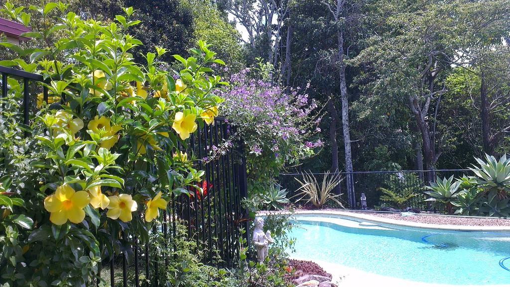 Tropical Coast Retreat - Pet Friendly - Adult Only Konuk evi Kingscliff Dış mekan fotoğraf