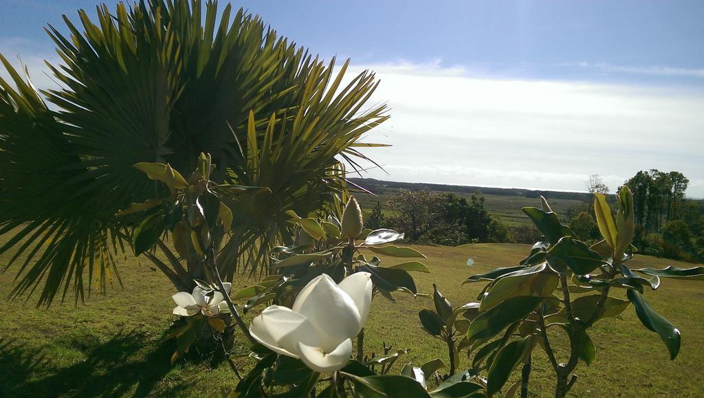 Tropical Coast Retreat - Pet Friendly - Adult Only Konuk evi Kingscliff Dış mekan fotoğraf