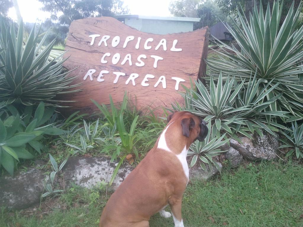 Tropical Coast Retreat - Pet Friendly - Adult Only Konuk evi Kingscliff Dış mekan fotoğraf